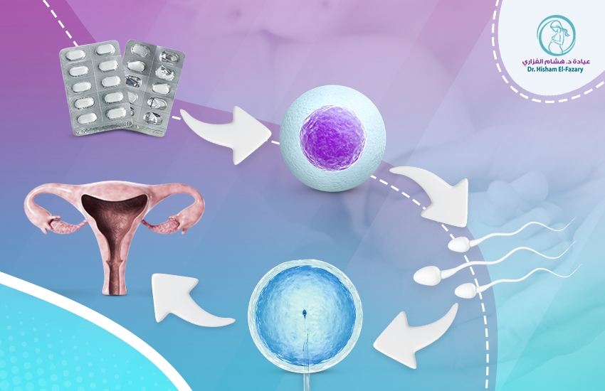خطوات عملية الحقن المجهري | رحلة نحو تحقيق حلم الأمومة والأبوة